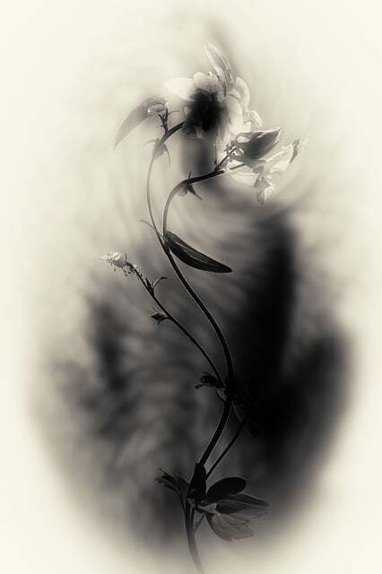 Obrázok je len ilustračný, nesúvisí priamo s textom.