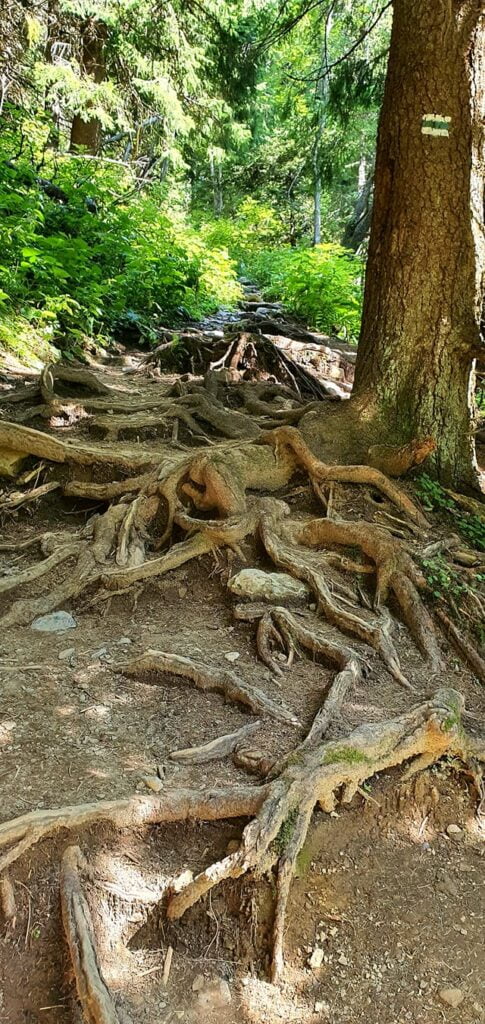 Obrázok je len ilustračný, nesúvisí priamo s textom.