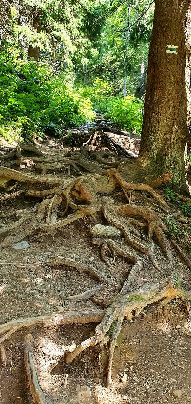 Obrázok je len ilustračný, nesúvisí priamo s textom.