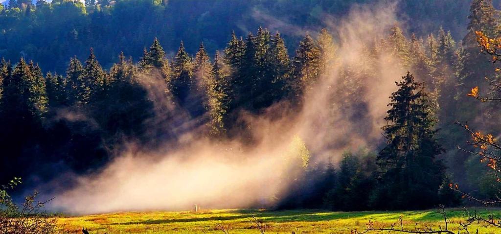 Obrázok je len ilustračný, nesúvisí priamo s textom.