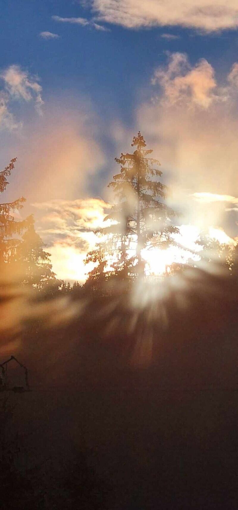 Obrázok je len ilustračný, nesúvisí priamo s textom.