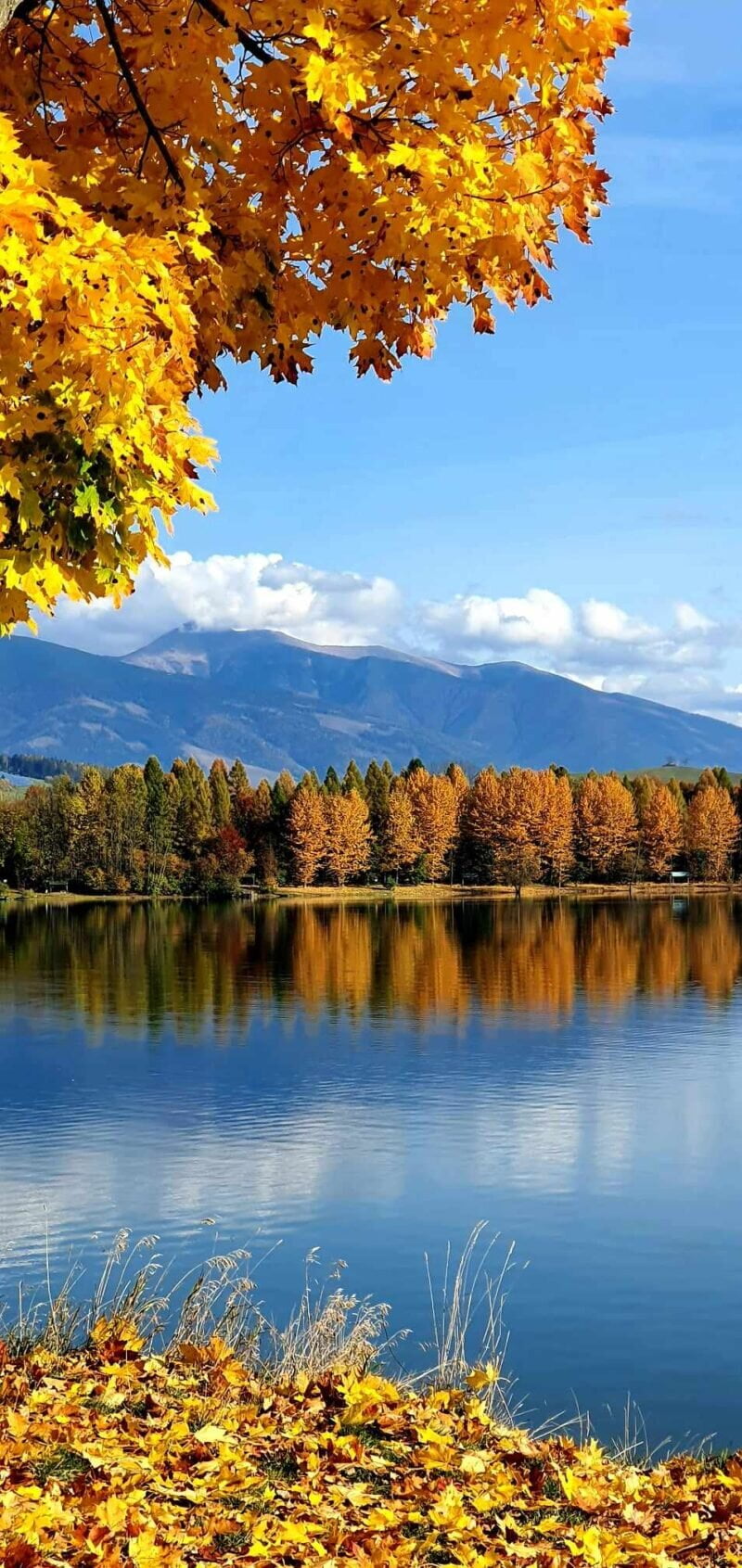 Obrázok je len ilustračný, nesúvisí priamo s textom.