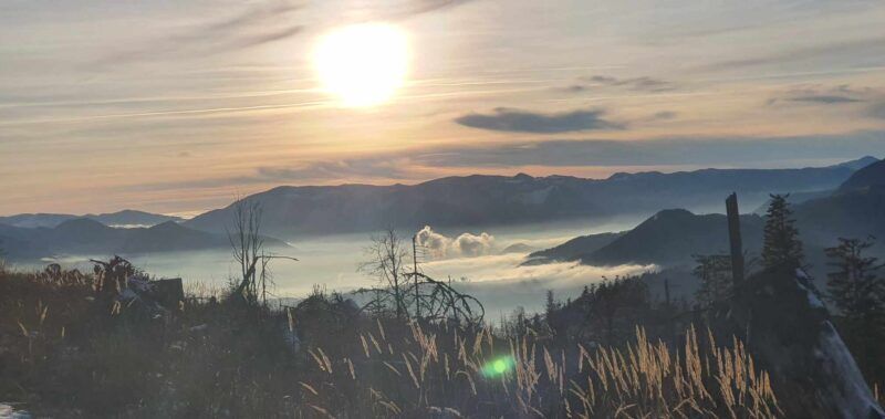 Obrázok je len ilustračný, nesúvisí priamo s textom.