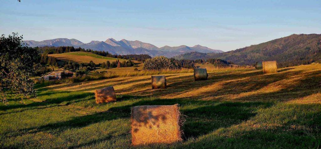 Obrázok je len ilustračný, nesúvisí priamo s textom.