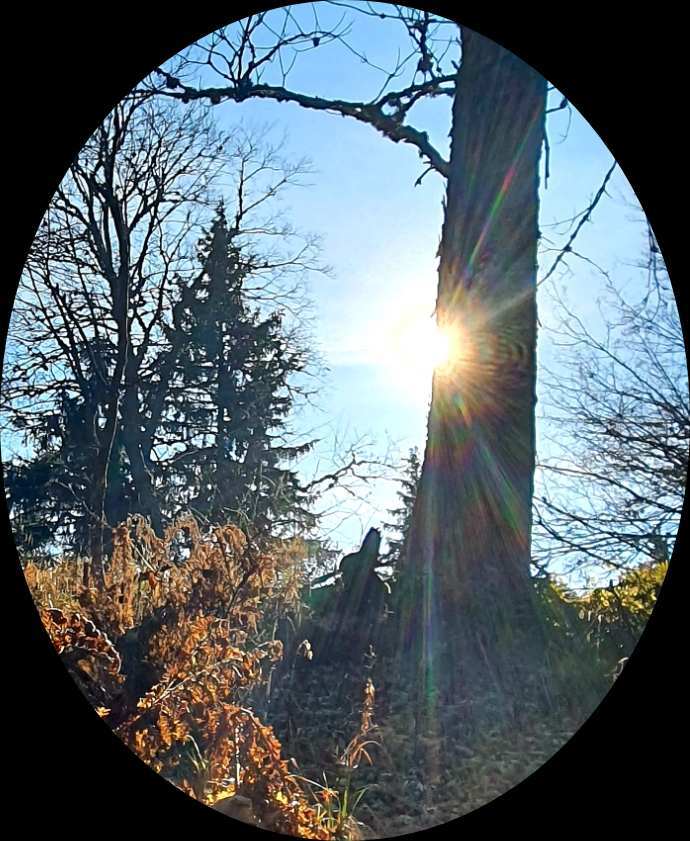 Obrázok je len ilustračný, nesúvisí priamo s textom.