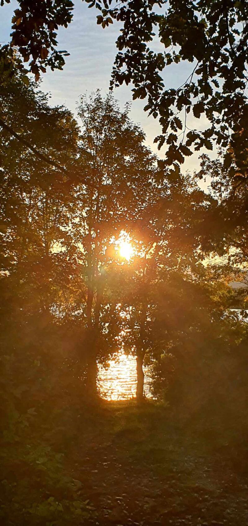 Obrázok je len ilustračný, nesúvisí priamo s textom.