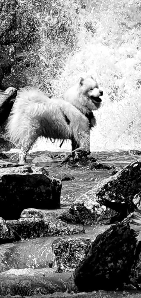 Obrázok je len ilustračný, nesúvisí priamo s textom.