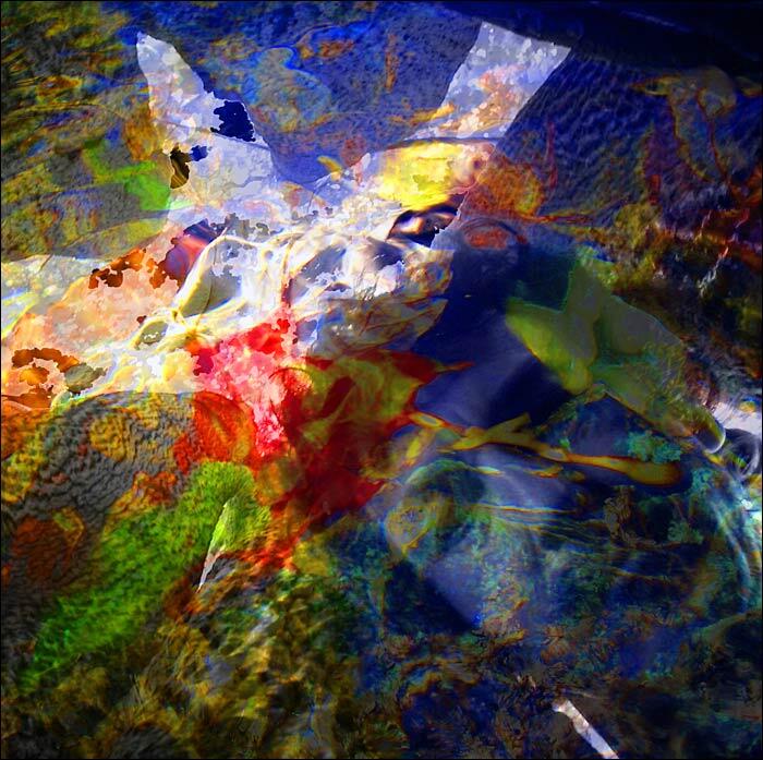 Obrázok je len ilustračný, nesúvisí priamo s textom.