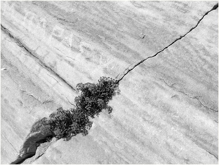 Obrázok je len ilustračný, nesúvisí priamo s textom.