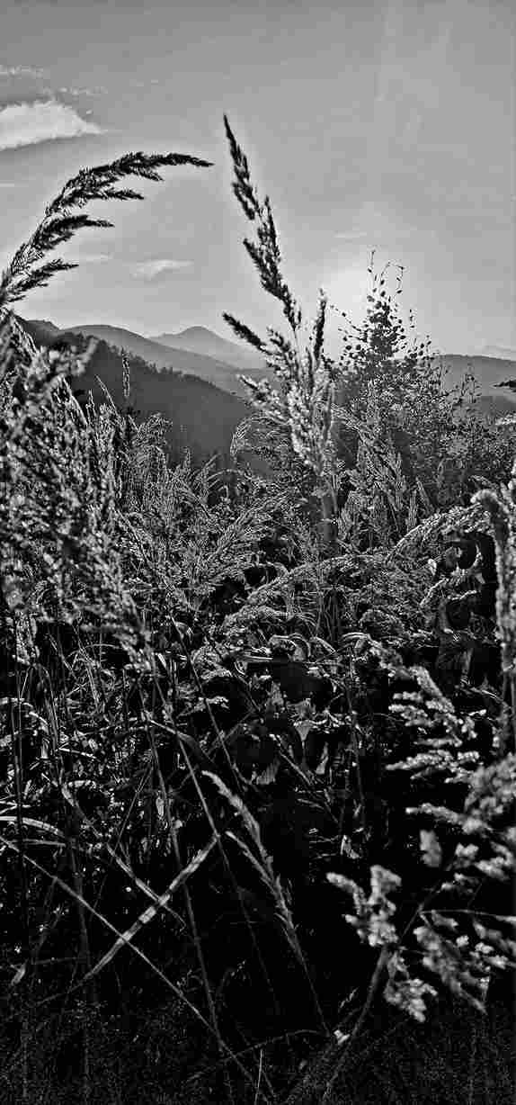 Obrázok je len ilustračný, nesúvisí priamo s textom.