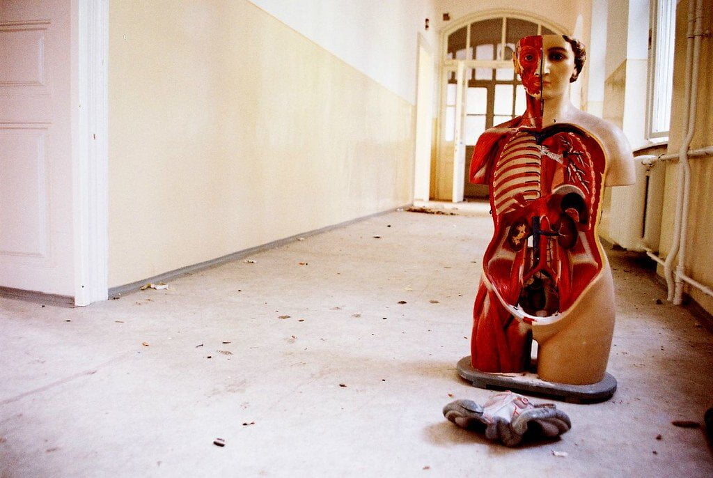 Obrázok je len ilustračný, nesúvisí priamo s textom.