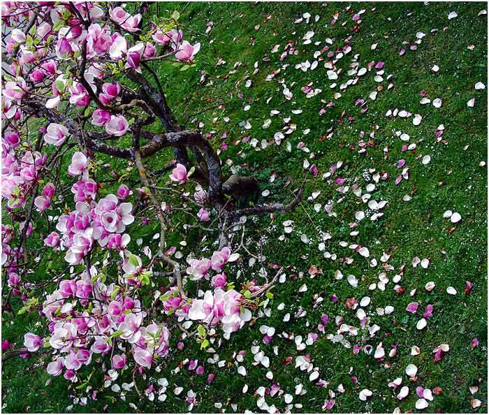 Obrázok je len ilustračný, nesúvisí priamo s textom.