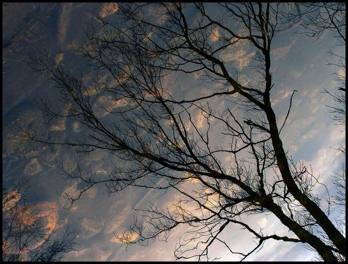 Obrázok je len ilustračný, nesúvisí priamo s textom.