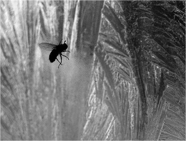 Obrázok je len ilustračný, nesúvisí priamo s textom.