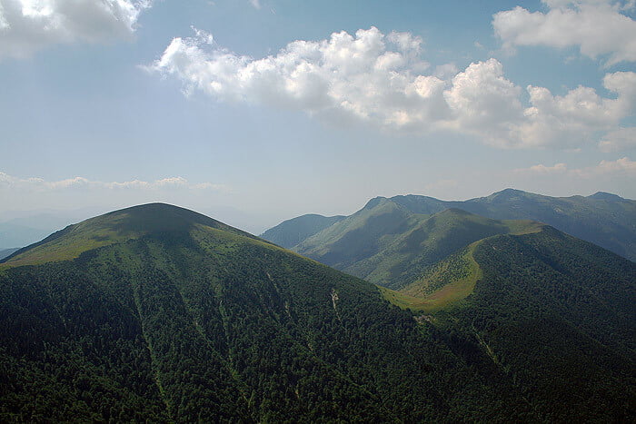 Obrázok je len ilustračný, nesúvisí priamo s textom.