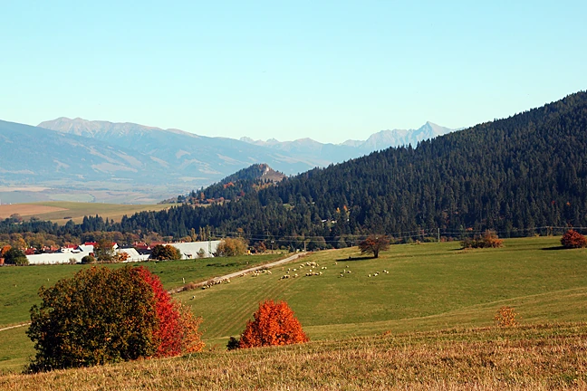 Pavčina Lehota - pohľad na Kriváň