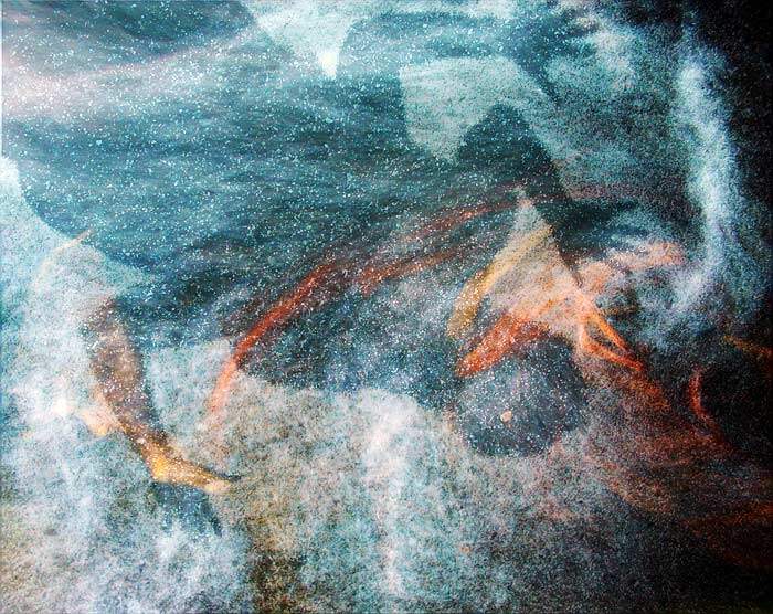 Obrázok je len ilustračný, nesúvisí priamo s textom.