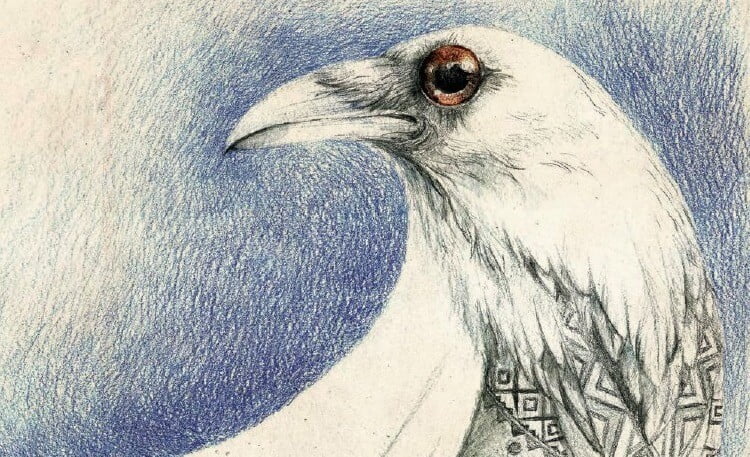 Obrázok je len ilustračný, nesúvisí priamo s textom.