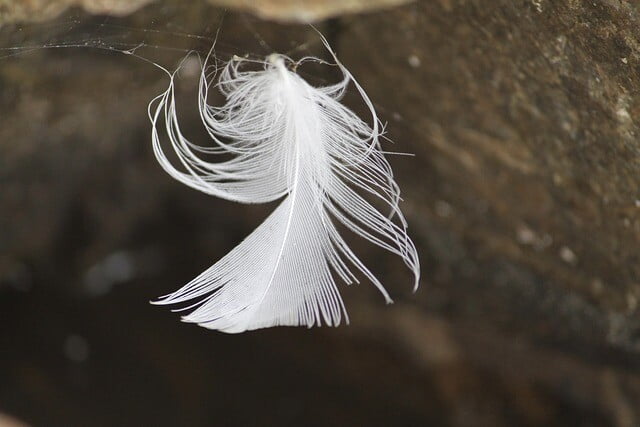 Obrázok je len ilustračný, nesúvisí priamo s textom.