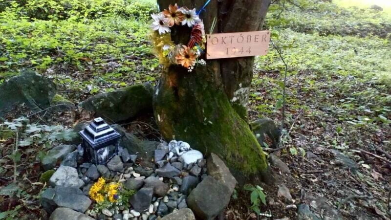 Obrázok je len ilustračný, nesúvisí priamo s textom.