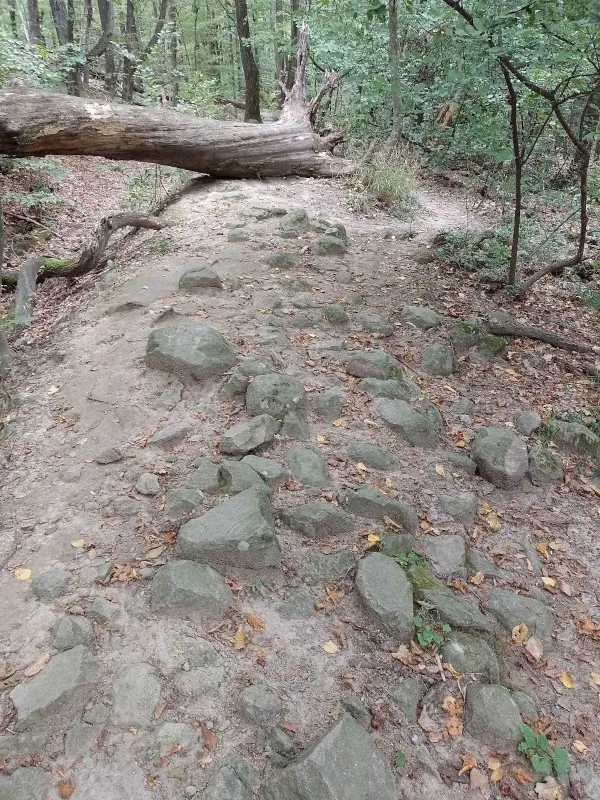 Obrázok je len ilustračný, nesúvisí priamo s textom.