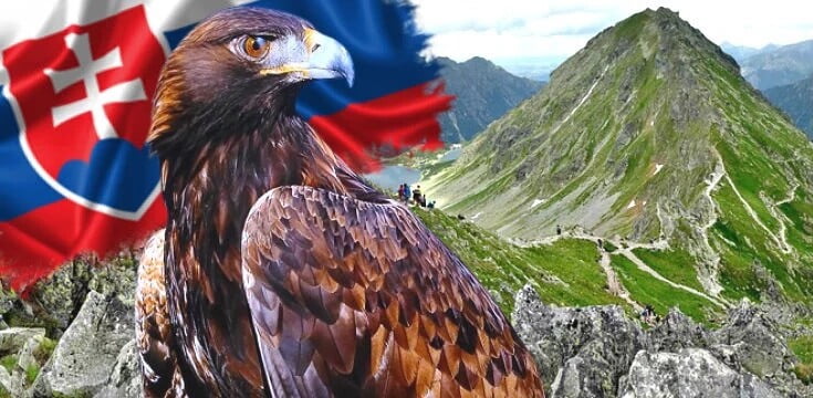 Obrázok je len ilustračný, nesúvisí priamo s textom.