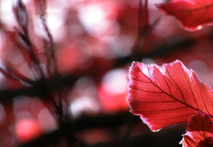 Obrázok je len ilustračný, nesúvisí priamo s textom.