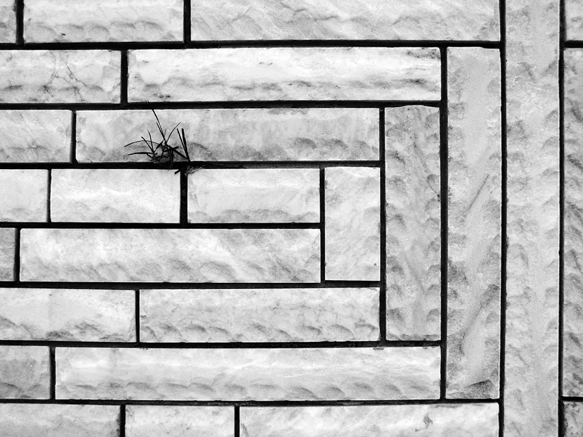 Obrázok je len ilustračný, nesúvisí priamo s textom.