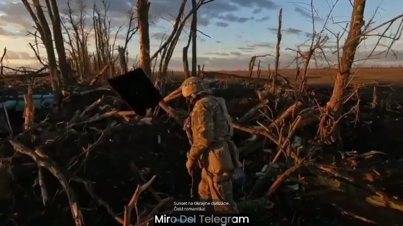 Obrázok je len ilustračný, nesúvisí priamo s textom.