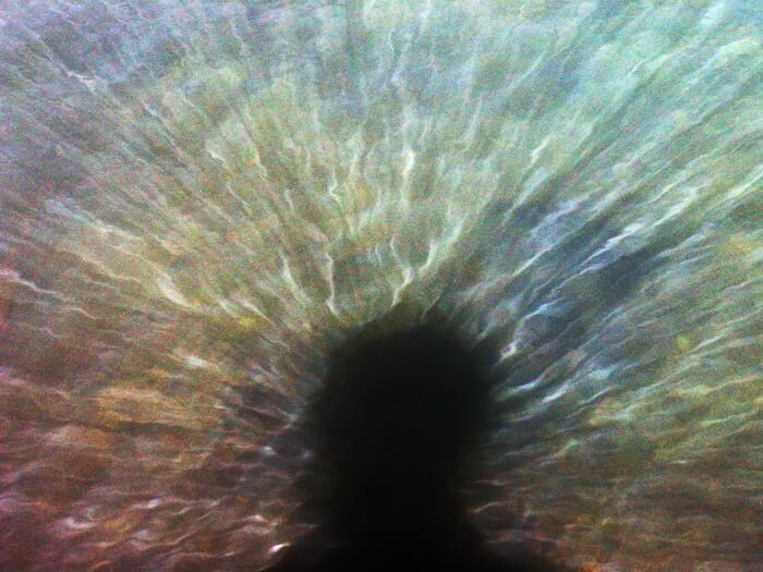 Obrázok je len ilustračný, nesúvisí priamo s textom.