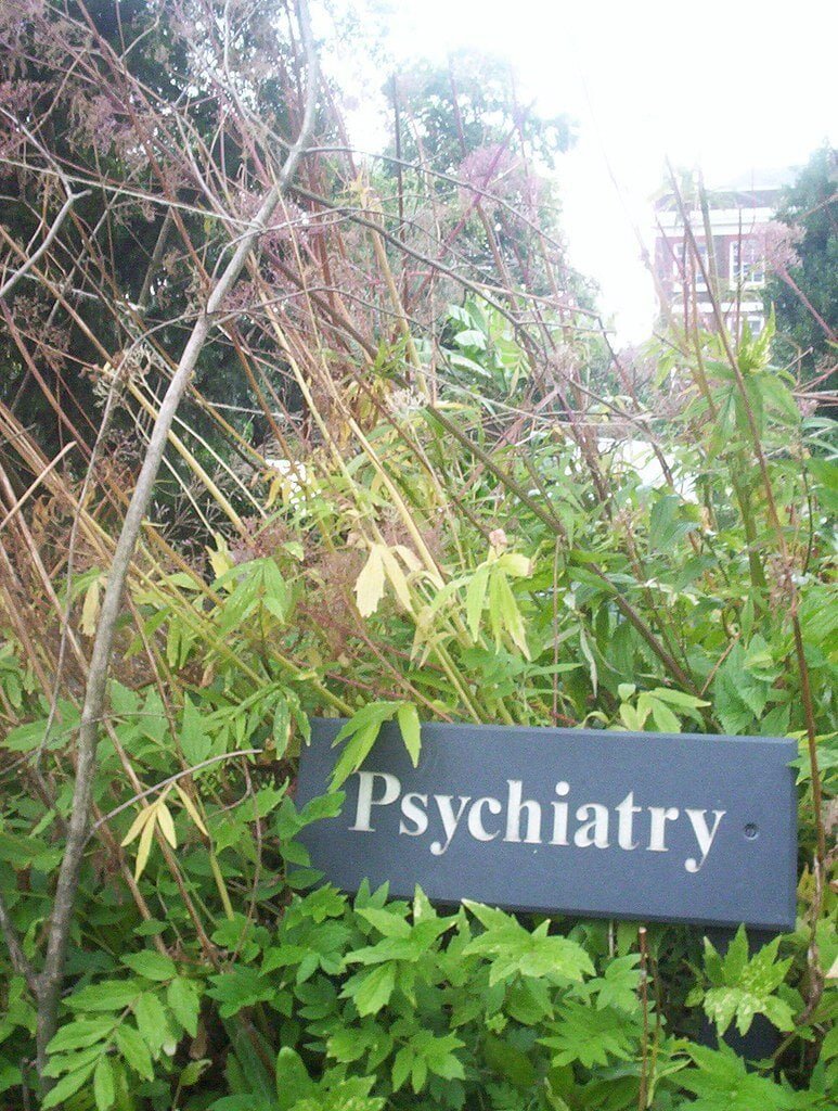 Obrázok je len ilustračný, nesúvisí priamo s textom.