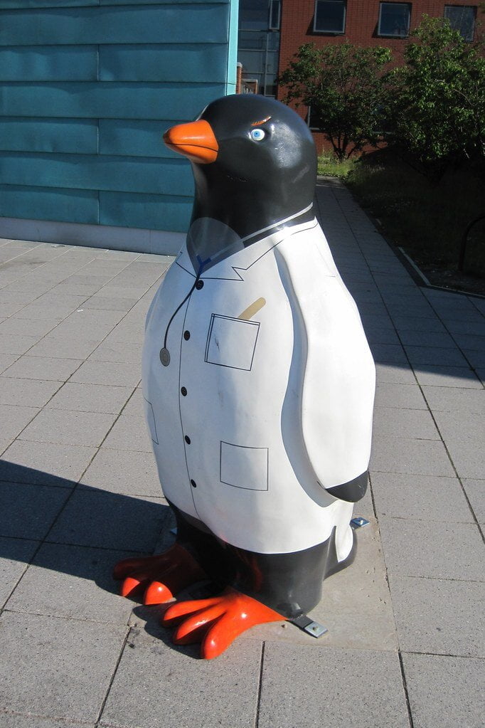 Obrázok je len ilustračný, nesúvisí priamo s textom.