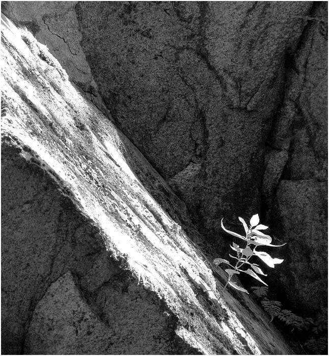 Obrázok je len ilustračný, nesúvisí priamo s textom.