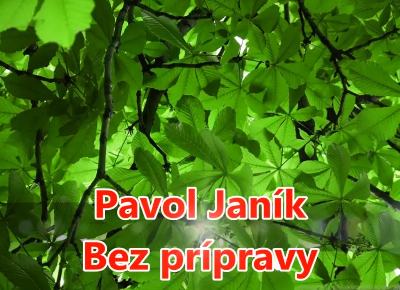 Obrázok je len ilustračný, nesúvisí priamo s textom.