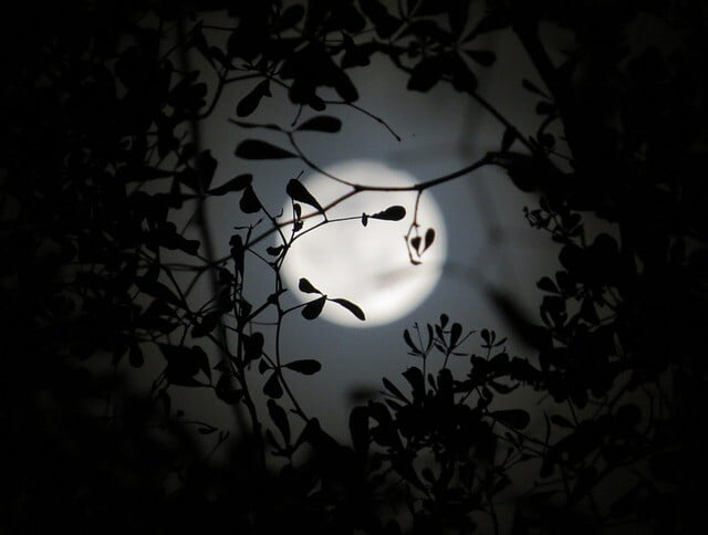 Obrázok je len ilustračný, nesúvisí priamo s textom.