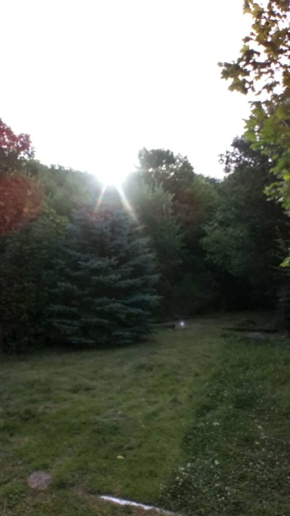 Obrázok je len ilustračný, nesúvisí priamo s textom.