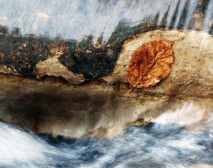 list vo vodnom prúde