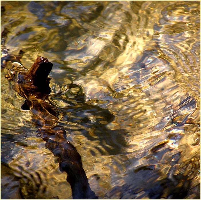 Obrázok je len ilustračný, nesúvisí priamo s textom.