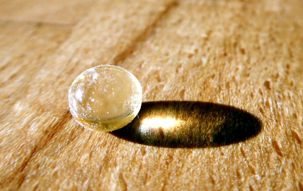 Obrázok je len ilustračný, nesúvisí priamo s textom.