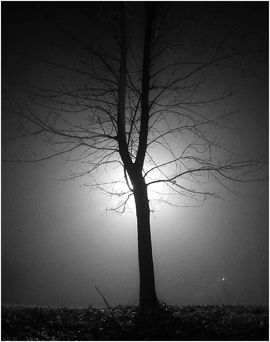 Obrázok je len ilustračný, nesúvisí priamo s textom.