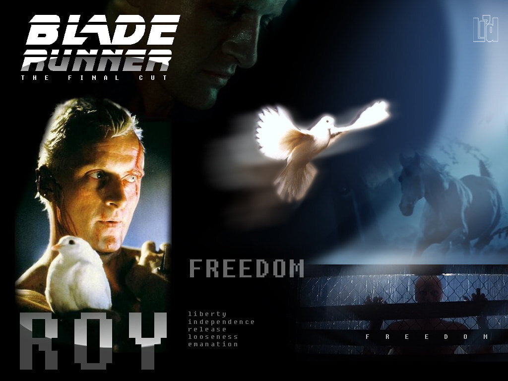 Obrázok je len ilustračný, nesúvisí priamo s textom.