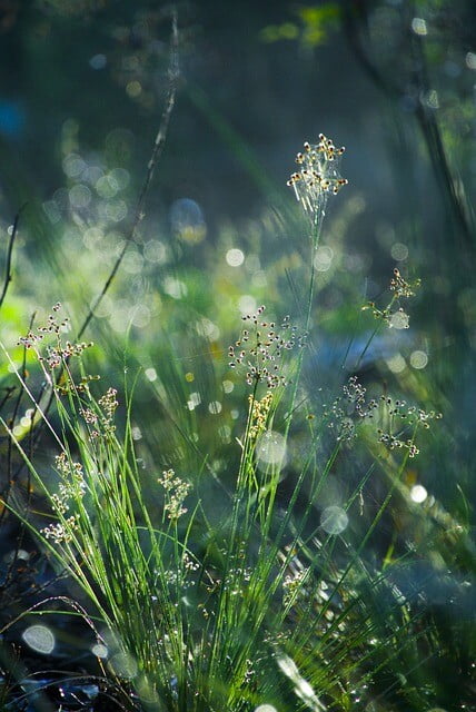 Obrázok je len ilustračný, nesúvisí priamo s textom.