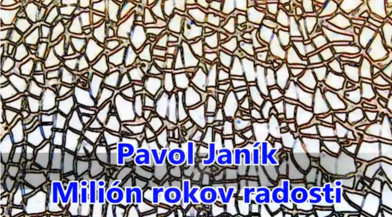 Obrázok je len ilustračný, nesúvisí priamo s textom.