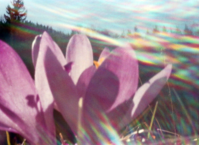 Obrázok je len ilustračný, nesúvisí priamo s textom.