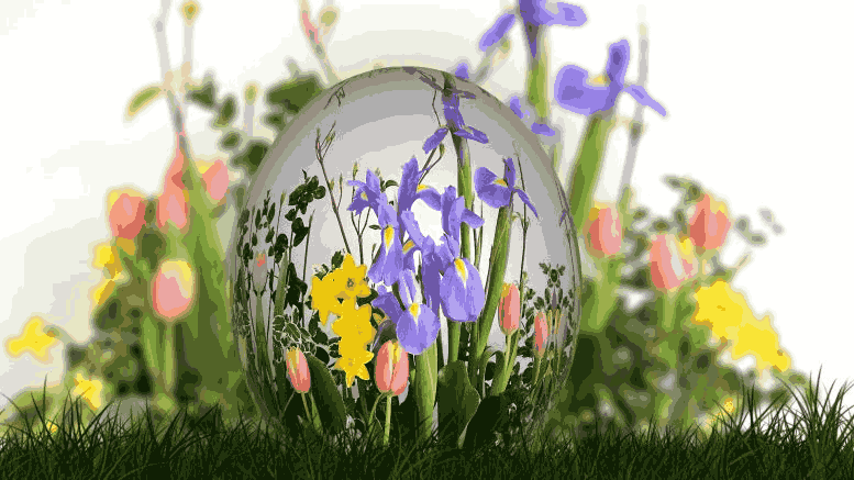 Obrázok je len ilustračný, nesúvisí priamo s textom.