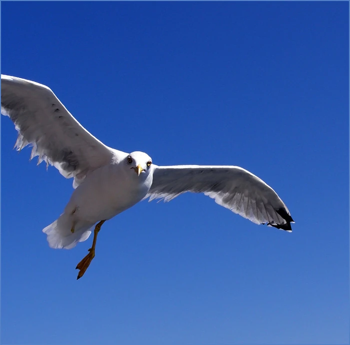 Obrázok je len ilustračný, nesúvisí priamo s textom.