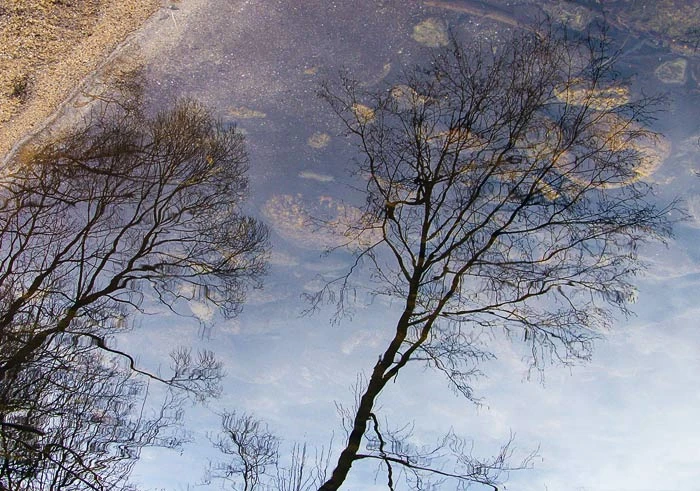 Obrázok je len ilustračný, nesúvisí priamo s textom.