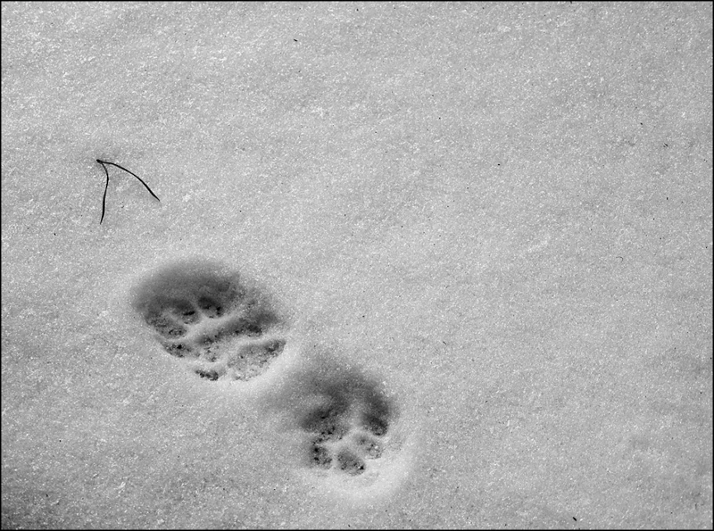 Obrázok je len ilustračný, nesúvisí priamo s textom.