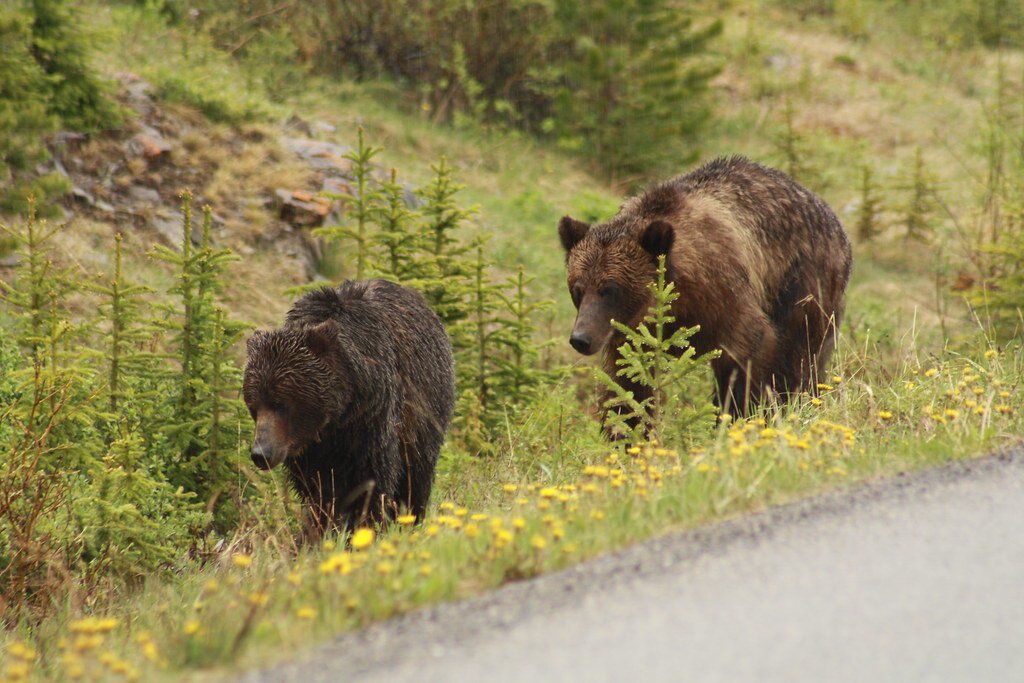 Obrázok je len ilustračný, nesúvisí priamo s textom.