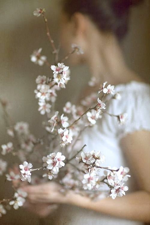 Obrázok je len ilustračný, nesúvisí priamo s textom.